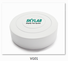 SKYLAB Beacon VG01